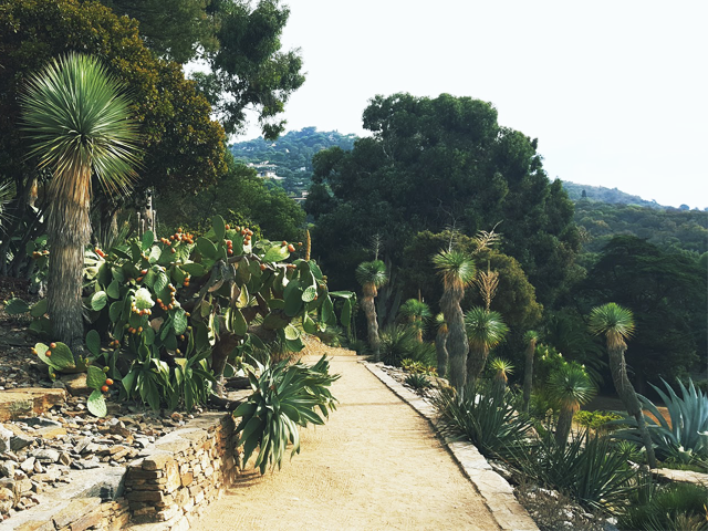 Jardins méditerranéens Côte d'Azur - Le domaine du Rayol Canadel sur mer 
