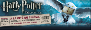 Harry Potter pose sa valise magique à Paris !