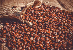 La culture du café dans le monde, des plantations aux tasses