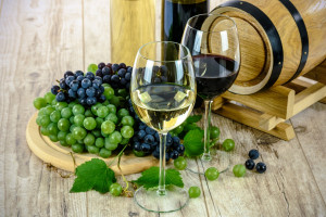 Voyage œnologique en automne : les trésors des vignobles français 