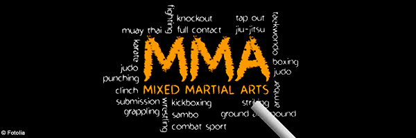 Le mixed Martial Arts : Mode D’emploi