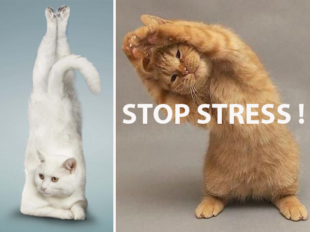 Stop stress 