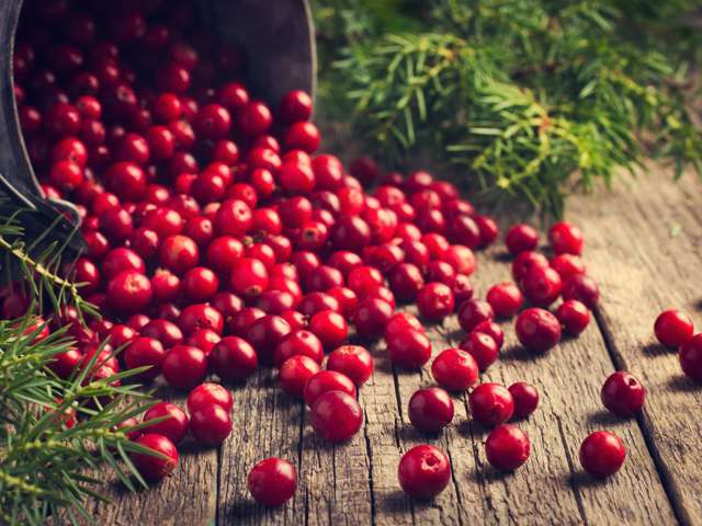 Anti cellulite - le cranberry