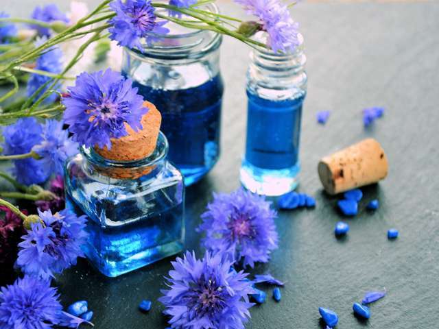Protéger la peau - eau florale de bleuet