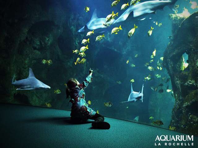 Visiter La Rochelle - Aquarium de La Rochelle