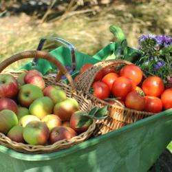 Les cueillettes de fruits et légumes