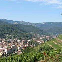 Balades et randonnées en Alsace 