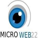 Microweb22