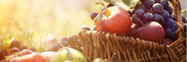 Les carnets insolites du moment : Le bio et les producteurs en France