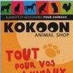 Kokoon