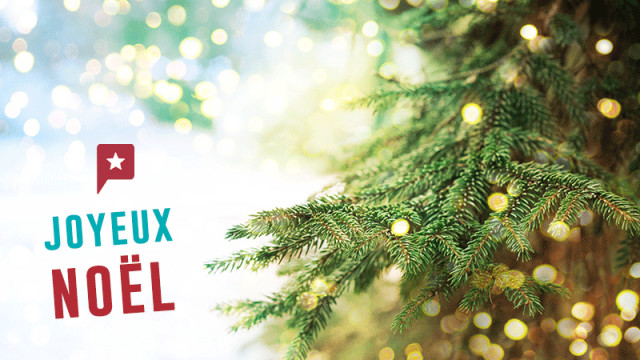 Un très Joyeux Noël de toute l’équipe !