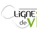 Lignedevie