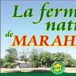 Marahans