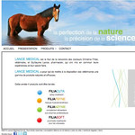 Lancemedical
