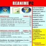 Reanimepc
