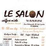Lesalonstmax