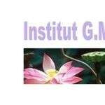 Institutgm