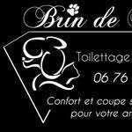 Brindepoil