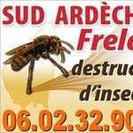 Frelons07