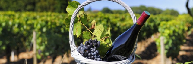Le Beaujolais nouveau est arrivé !