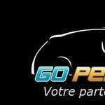 Gopermis