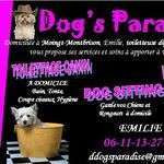 Dogsparadise
