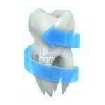 Dentiscannes