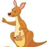 Marsupiaux