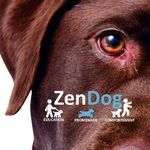 Zendog