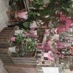 Fleurs70