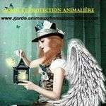 Abbygaelle