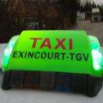 Taxicachot25