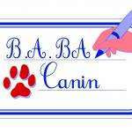 Babacanin