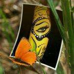 Vipongles