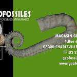 Geofossiles