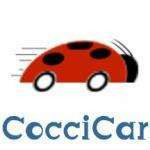 Coccicar