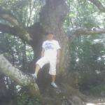 Guillaum777