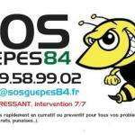 Sosguepes84