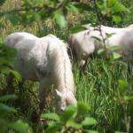 Sandrine76