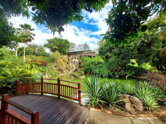 Les plus beaux jardins à visiter en France : 15 spots incontournables