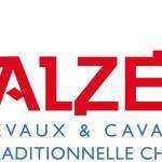 Cavalzen