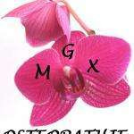 Mgxosteo
