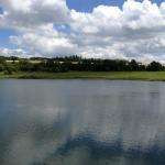 Damona