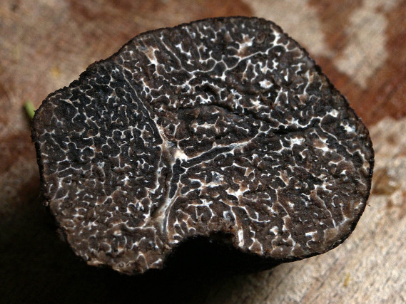 10 idées de week-end gastronomique autour de la truffe en France