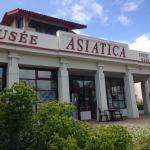 Asiatica