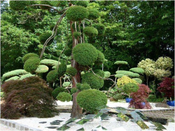 Les plus beaux jardins et parcs à redécouvrir au printemps 