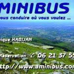 Aminibusbab