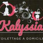 Kalyssia