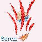 Seren
