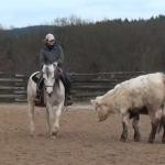 Westernranch